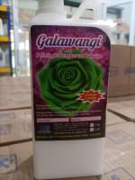 Galawangi 1 liter Hijau