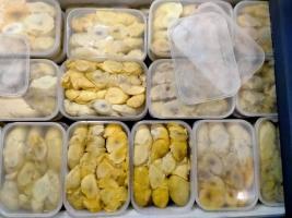 Durian medan