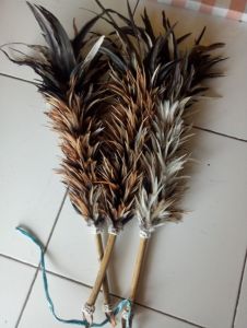 Sulak bulu