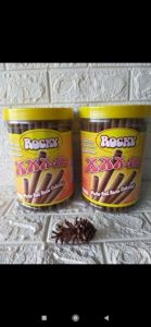 ASTOR ROXY 