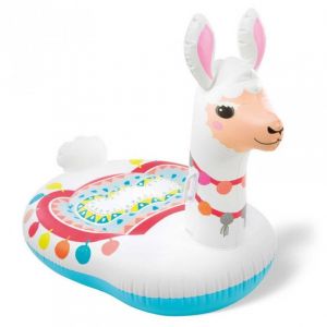 Intex pelampung cute lama