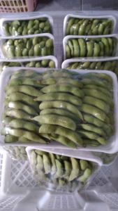 Edamame 1KG