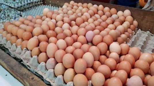 Telor Ayam Per Kg