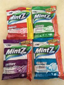 Permen Mintz110gr
