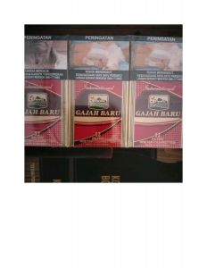 Gajah Baru 12 (Bks)