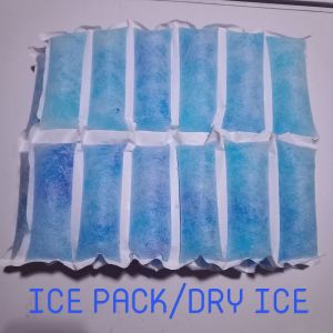 Ice Pack/Dry Ice
