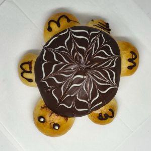 Roti kura kura