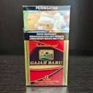 GAJAH BARU 12