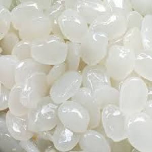 KOLANG KALING 1kg
