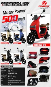 Pacifc Zeckrom 300  - Sepeda listrik