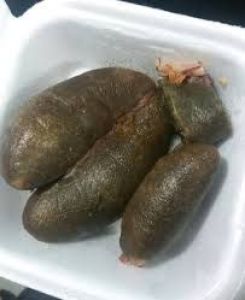 TELUR LELE JUMBO