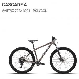 Polygon Cascade 4