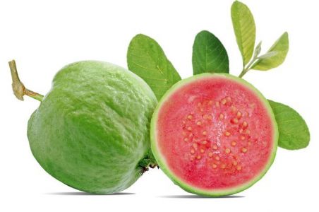 Jambu