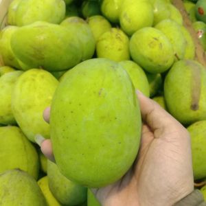 Mangga kweni
