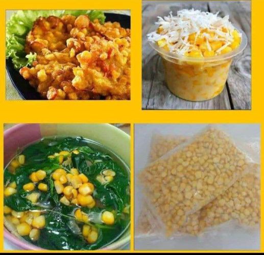 Jagung pipil