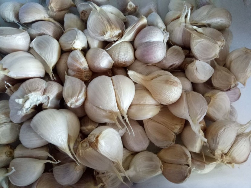 Bawang kating 1kg