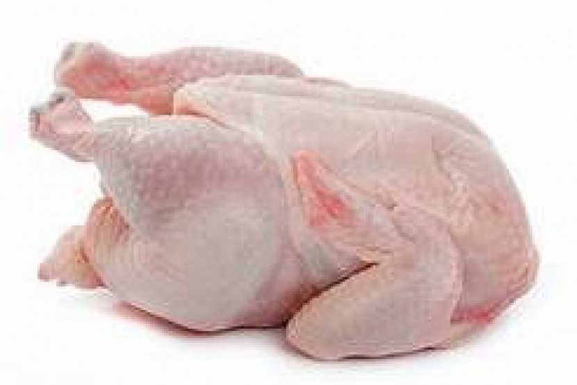 Daging Ayam Fresh per Kg 