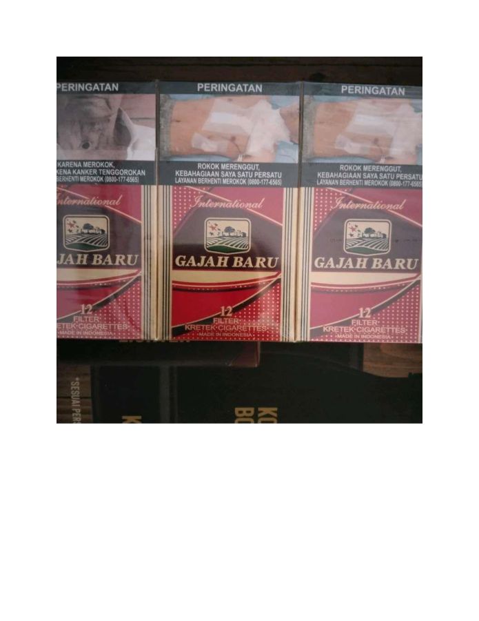 Gajah Baru 12 (Bks)