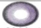 DOLLY POP PURPLE 20.8MM / BUBBLE PRISM VIOLET 15MM / DOUYIN BLUEBERRY 14.5MM / MILLA PURPLE / SERLTYCA 4 VIOLET / DOUYIN SNOWY VIOLET