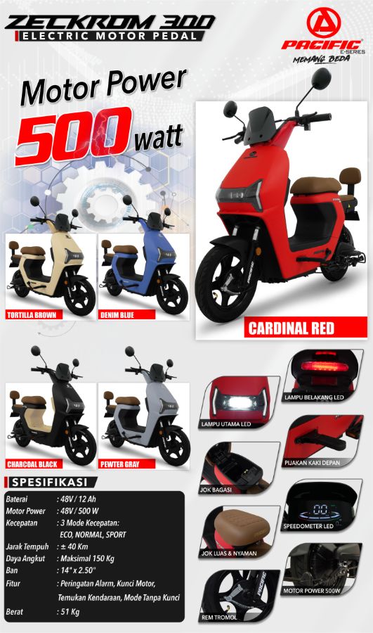 Pacifc Zeckrom 300  - Sepeda listrik