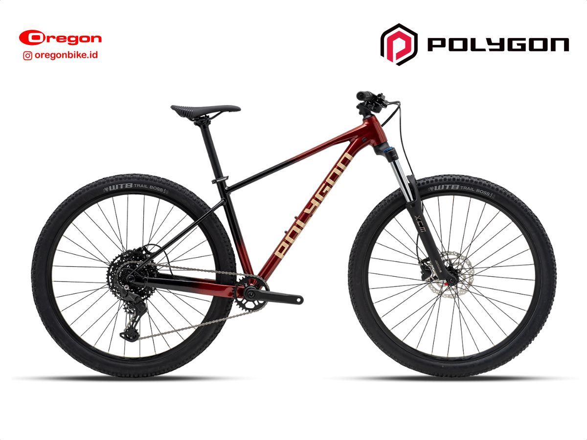 Polygon Xtrada 5