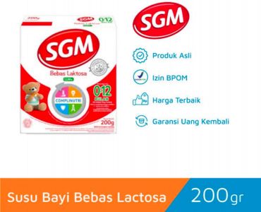 SGM LLM