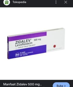 Zidalev biji per biji