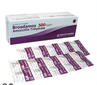 BROADAMOX 500Mg