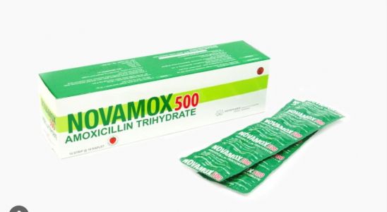 NOVAMOX 500