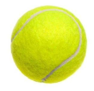 BOLA KASTI / BAL KASTI