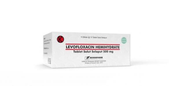 Levofloxacin berno 500mg