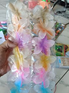 CAKAR GAMBOJA BESAR 7.5CM