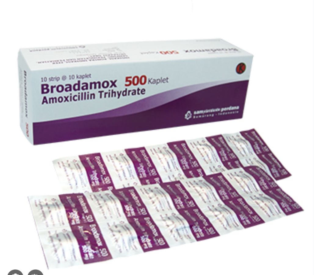 BROADAMOX 500Mg