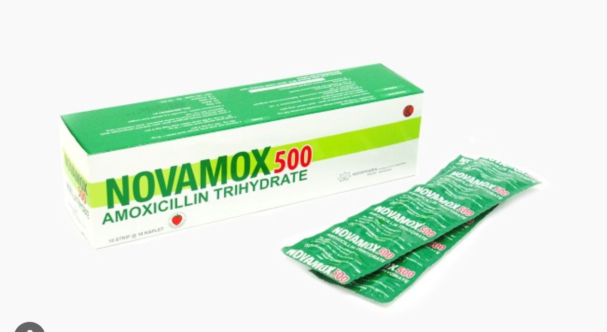 NOVAMOX 500