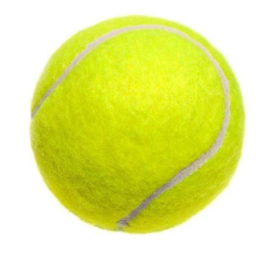 BOLA KASTI / BAL KASTI