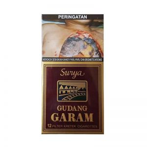 12 FILTER SURYA COKLAT