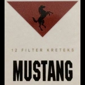 MUSTANG 16