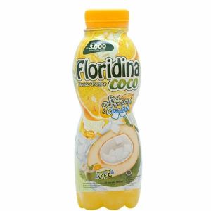 FLORIDINA CHOCO 350ML ISI 12