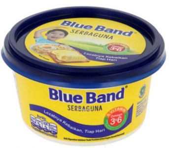 BLUBAND SERBAGUNA TUB 48x250GR 