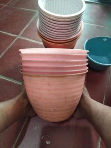 Pot bunga madu 30