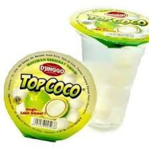 DJTOP COCO BIG 24 PCS/KR
