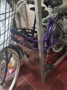 Sepeda perempuan Phoenix 