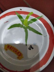 Piring plastik naturas