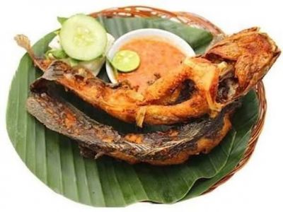 Ikan Lele