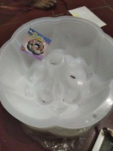 Cetakan agar agar Camelia 
