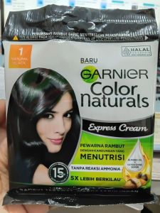 Garnier Color  Natural Black