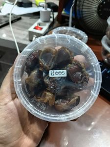KURMA CUP KECIL