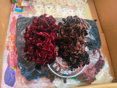 Ikat rambut ubur2