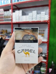 CAMEL PUTIH PENDEK
