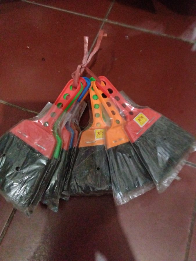 Sapu mobil dua macan